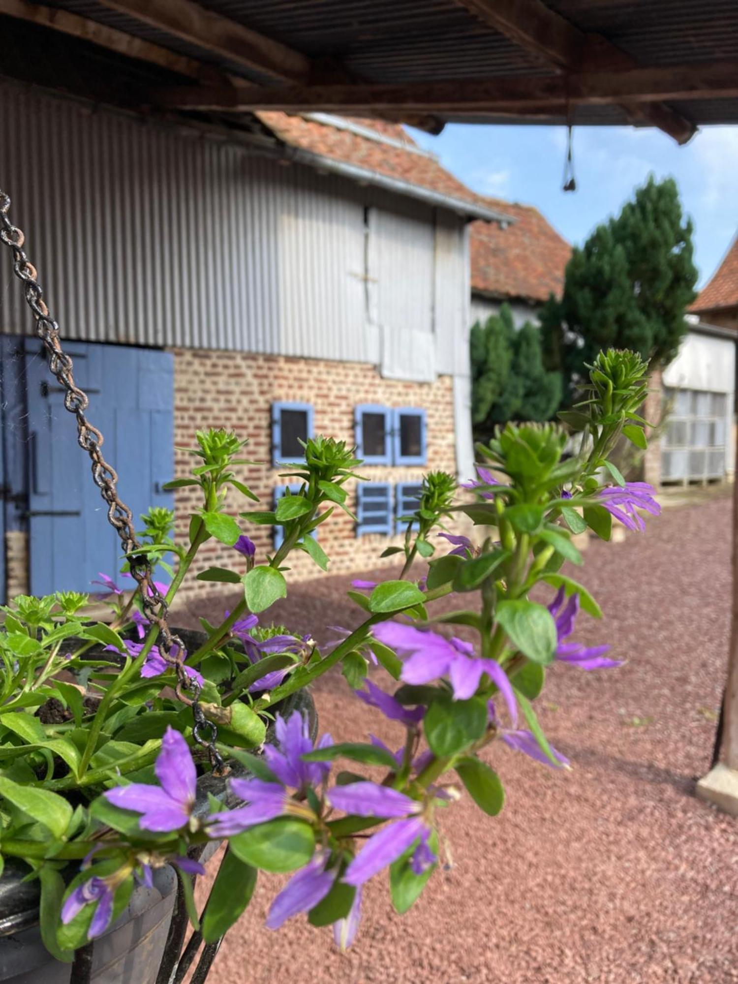La Grange Aux Tommies - Pays Du Coquelicot Vila Bus-les-Artois Exterior foto